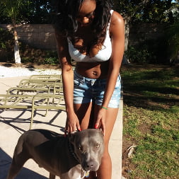 Jezabel Vessir en 'Bangbros' Tetas de ébano naturales y sexys (Miniatura 15)