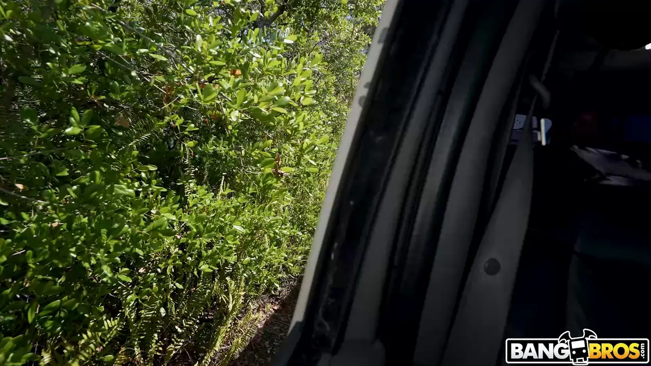 Josie Tucker in 'Ride and Fuck' from 'Bangbros' (Photo 75) Bangbros 'Ride and Fuck' starring Josie Tucker (Photo 75)