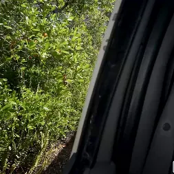 Josie Tucker in 'Bangbros' Ride and Fuck (Thumbnail 75)