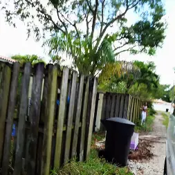 Juicy Jazzy en Músculo distendido (foto 220) Juicy Jazzy en 'Bangbros' Músculo distendido (Miniatura 220)