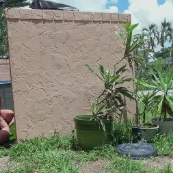 Julianna Vega in 'Bangbros' Loves to Fuck in Public (Thumbnail 323)