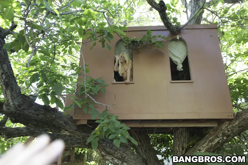 Bangbros 'A Company Of 3' starring Kaci Starr (Photo 270)