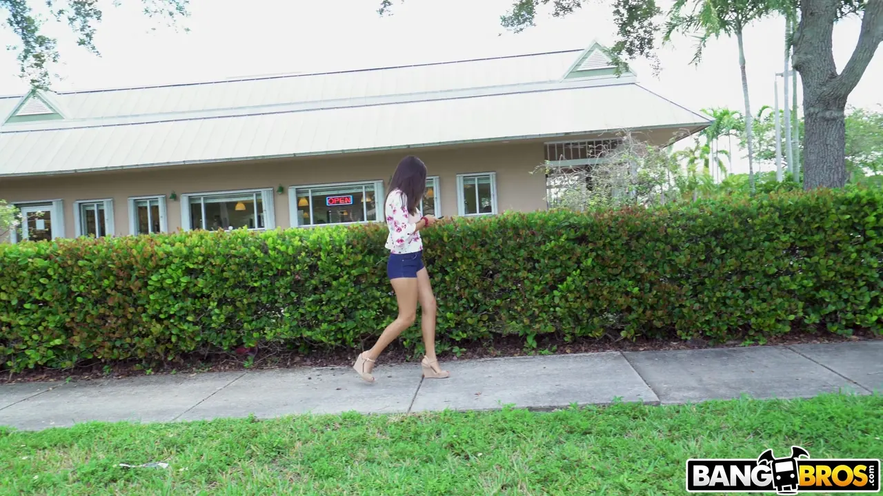 Bangbros '2nd Time is the Charm for a Creampie' starring Karlo Karrera (Photo 1)