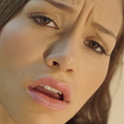 Karter Foxx en 'Bangbros' gets the cock POV like (Miniatura 463)