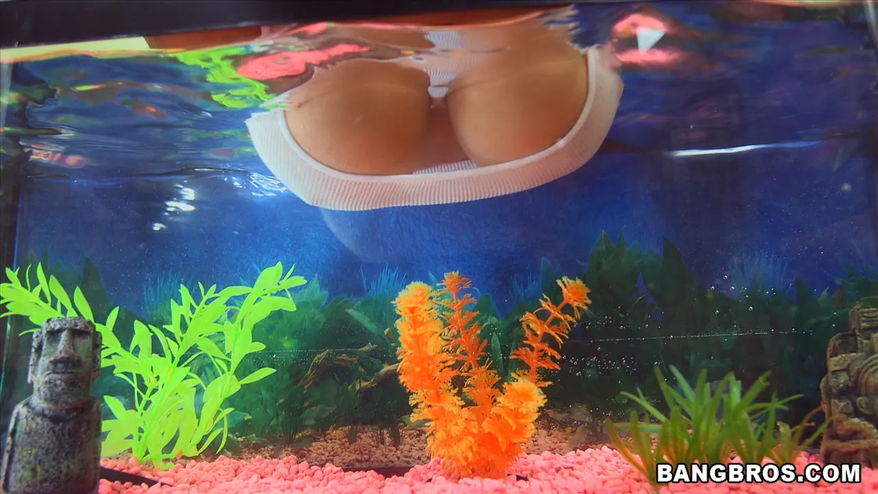 Bangbros 'Natural Double D Tits' starring Katt Garcia (Photo 231)