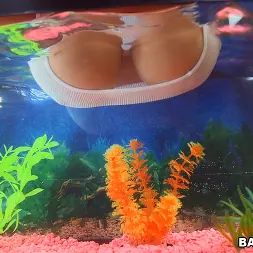 Katt Garcia in 'Bangbros' Natural Double D Tits (Thumbnail 231)