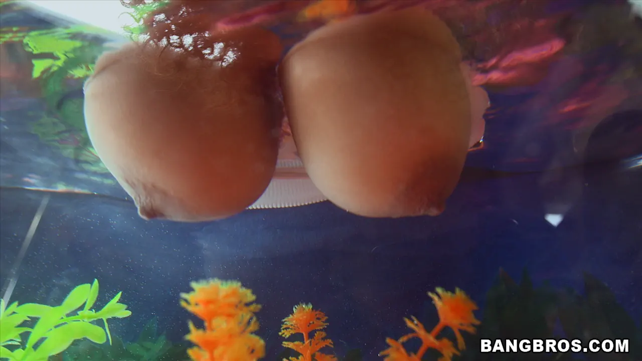 Bangbros 'Natural Double D Tits' starring Katt Garcia (Photo 264)