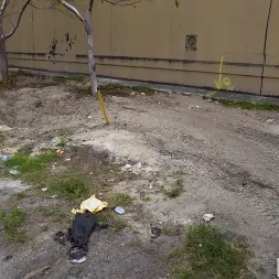 Keilani Kita in 'Bangbros' Asian Cutie Hops On The Bus (Thumbnail 780)