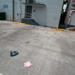 Kendall Kross in 'Bangbros' American Idle (Thumbnail 224)