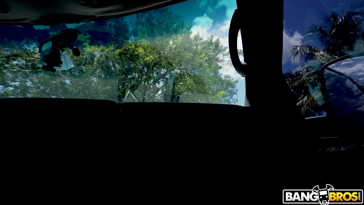 Bangbros 'Ella se pone rara en una camioneta' protagonizando Kenzie Love (foto 1)