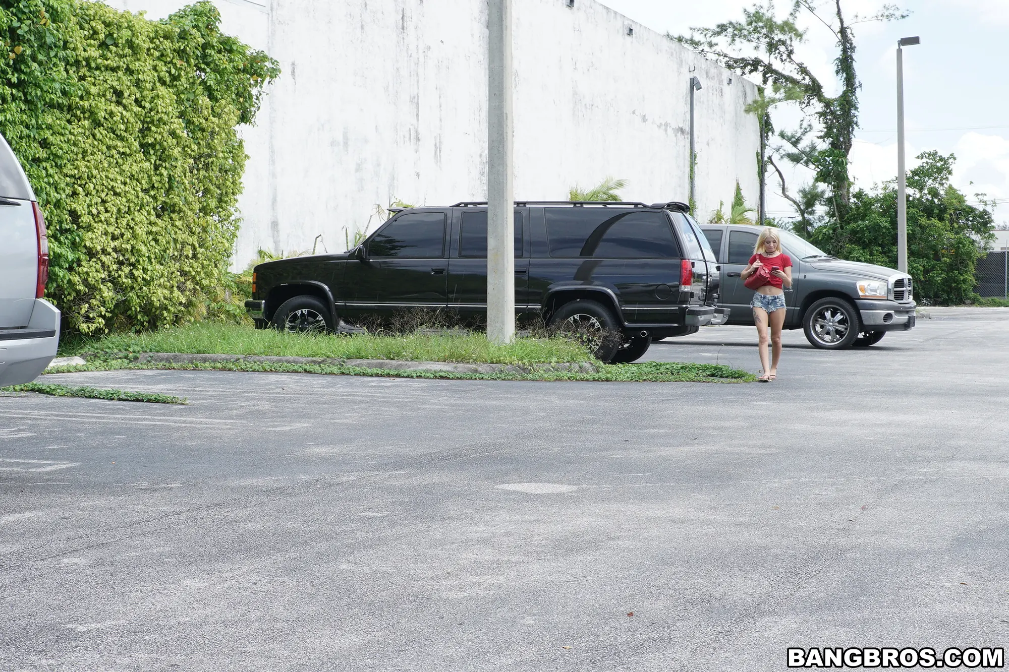 Bangbros 'Coño acechante' protagonizando Kenzie Reeves (foto 1)