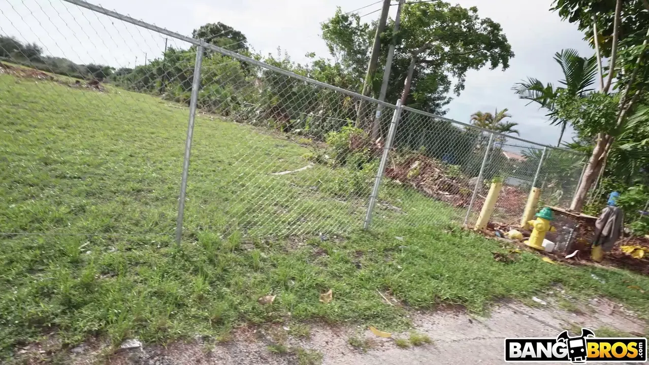 Bangbros 'Latina caliente follada en el autobús' protagonizando Kimberly Love (foto 592)