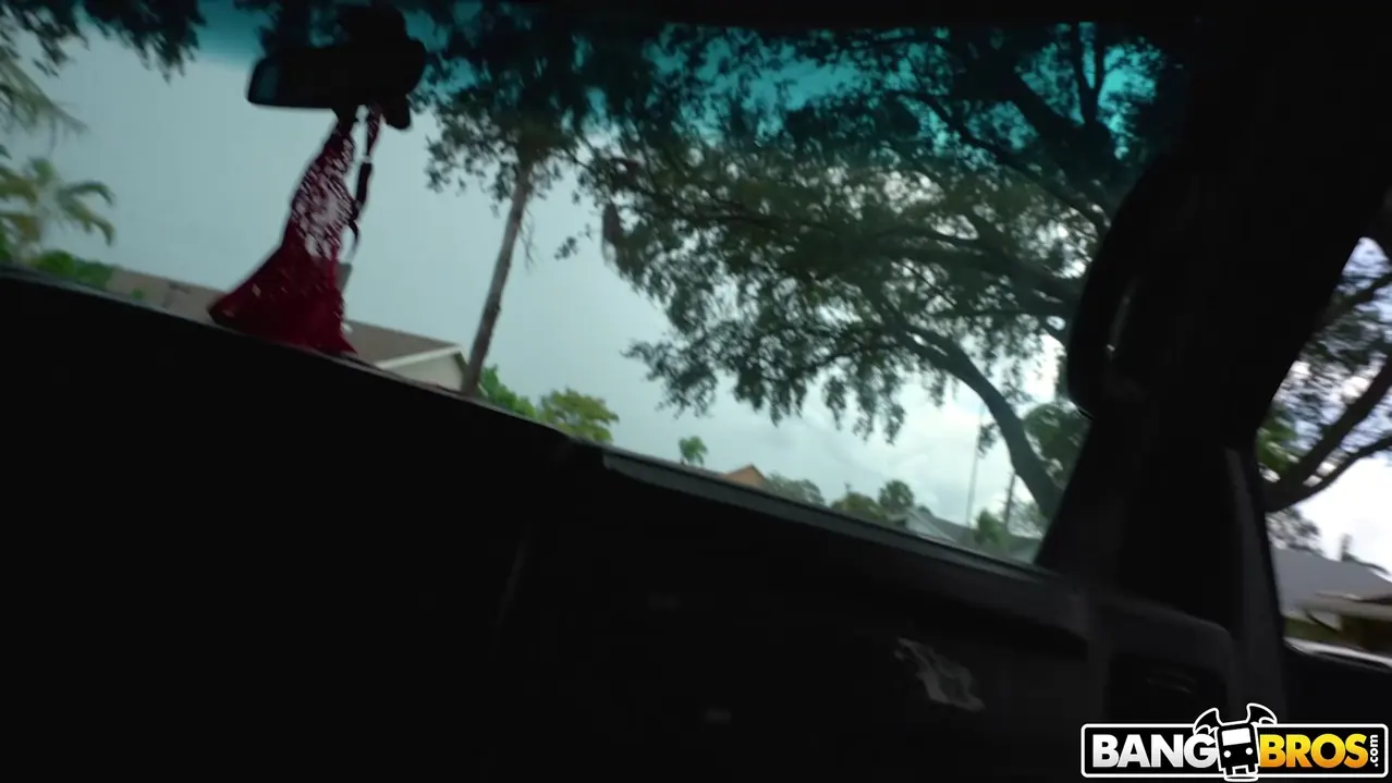 Bangbros 'We Spotted a Wild Kitty' starring Kitty Lynn (Photo 1)