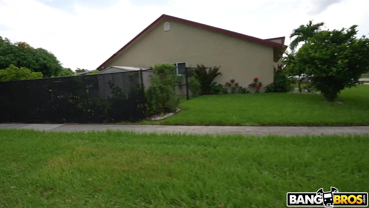 Bangbros 'We Spotted a Wild Kitty' starring Kitty Lynn (Photo 75)