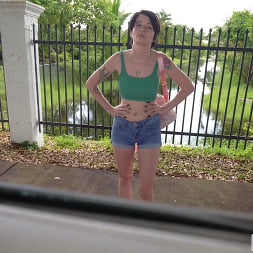 Kitty Lynn in We Spotted a Wild Kitty (Photo 1050) Kitty Lynn in 'Bangbros' We Spotted a Wild Kitty (Thumbnail 1050)