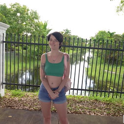 Kitty Lynn in We Spotted a Wild Kitty (Photo 1125) Kitty Lynn in 'Bangbros' We Spotted a Wild Kitty (Thumbnail 1125)