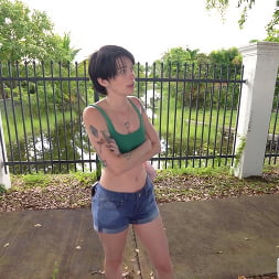 Kitty Lynn in We Spotted a Wild Kitty (Photo 1350) Kitty Lynn in 'Bangbros' We Spotted a Wild Kitty (Thumbnail 1350)