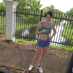 Kitty Lynn in We Spotted a Wild Kitty (Photo 375) Kitty Lynn in 'Bangbros' We Spotted a Wild Kitty (Thumbnail 375)