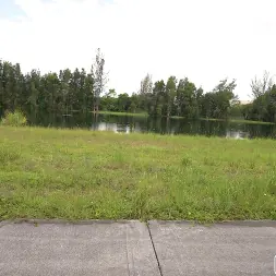 Kitty Lynn in 'Bangbros' We Spotted a Wild Kitty (Thumbnail 975)