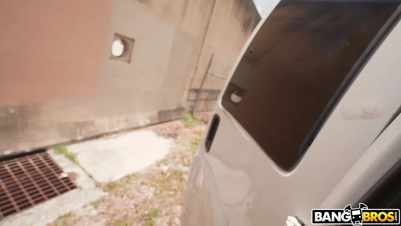 KocoChanelxxx in 'Stripper Shows Ass for Cash' from 'Bangbros' (Photo 675) Bangbros 'Stripper Shows Ass for Cash' starring KocoChanelxxx (Photo 675)