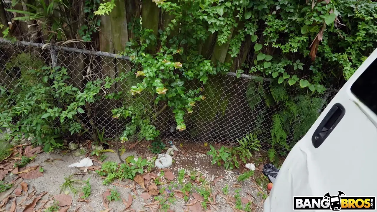 Bangbros 'A ella le encanta la buena carne' protagonizando Lacy Tate (foto 675)