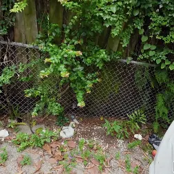 Lacy Tate en 'Bangbros' A ella le encanta la buena carne (Miniatura 675)