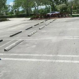 Lana Mars in 'Bangbros' 20 y'o Fucks on The Bus (Thumbnail 1)