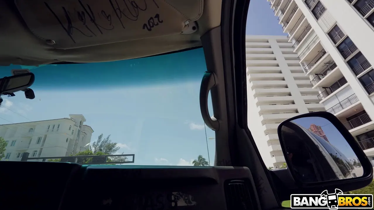 Bangbros 'MILF Is An Opportunist' starring Lani Rails (Photo 1)