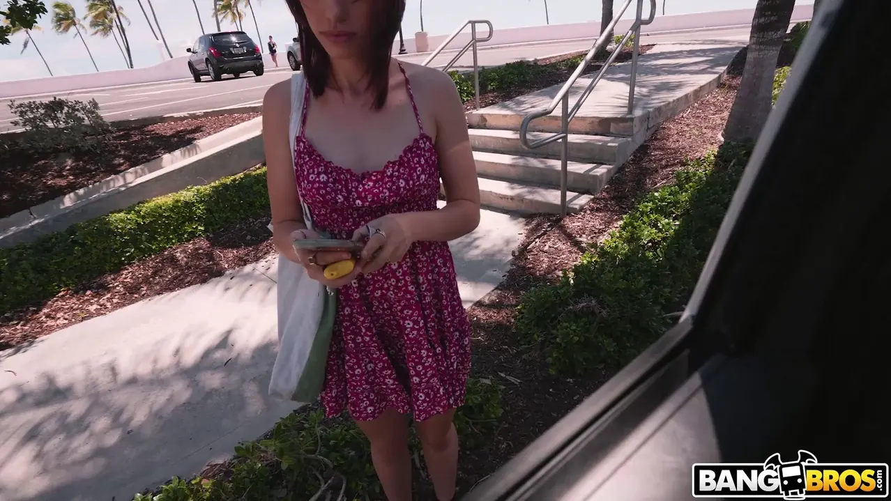 Laya Rae en 'Sexo después de la playa' from 'Bangbros' (foto 71) Bangbros 'Sexo después de la playa' protagonizando Laya Rae (foto 71)