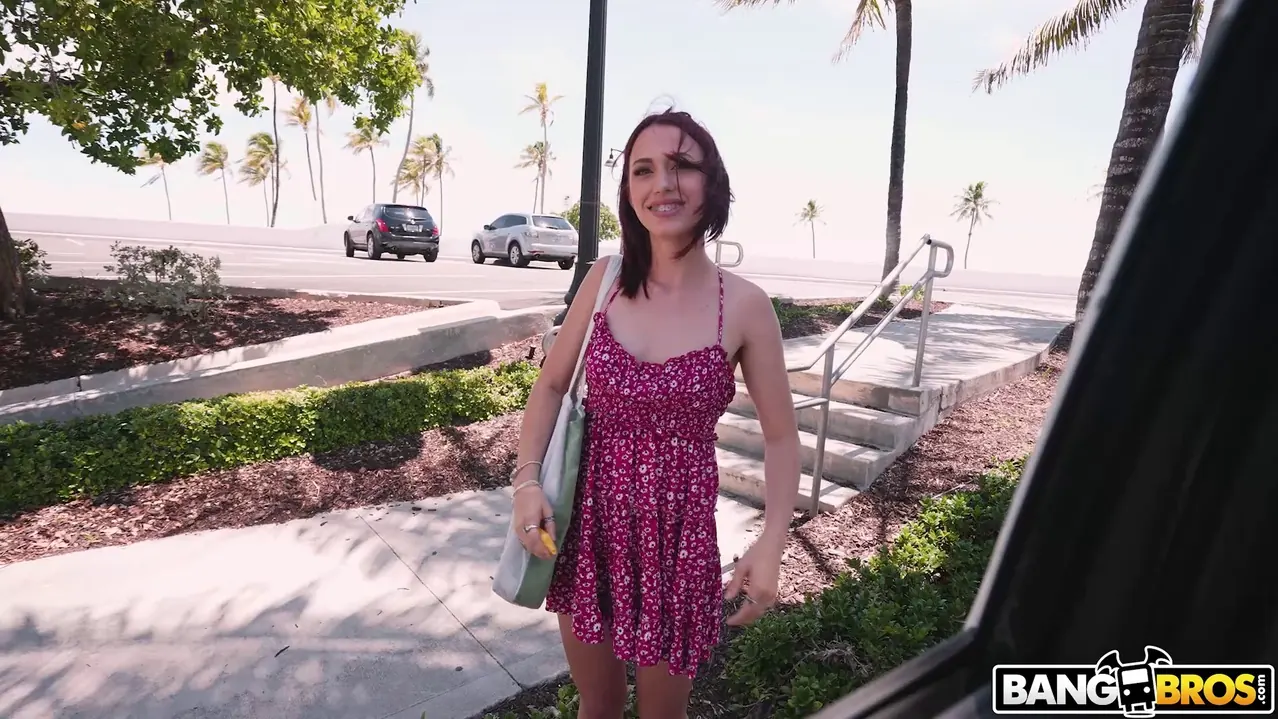 Bangbros 'Sexo después de la playa' protagonizando Laya Rae (foto 639)