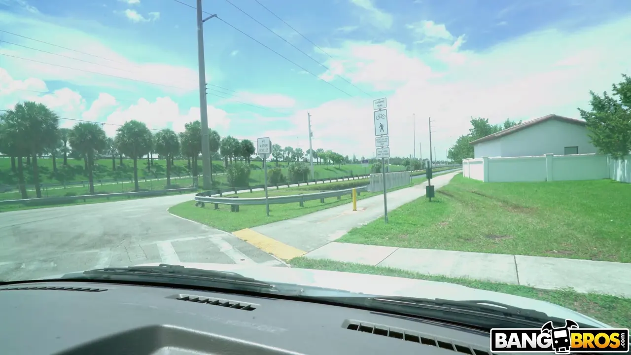 Bangbros 'A Super Hot Chick On This Bang Bus' starring Leah Lee (Photo 1)