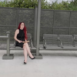 Leo Babe in 'Bangbros' Teacher Tames a Black Mamba (Thumbnail 975)