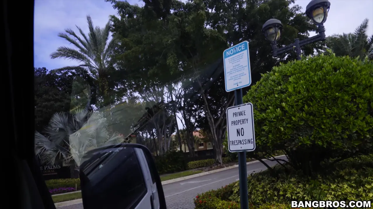 Bangbros 'gets back into the business' protagonizando Lexxi Deep (foto 1)