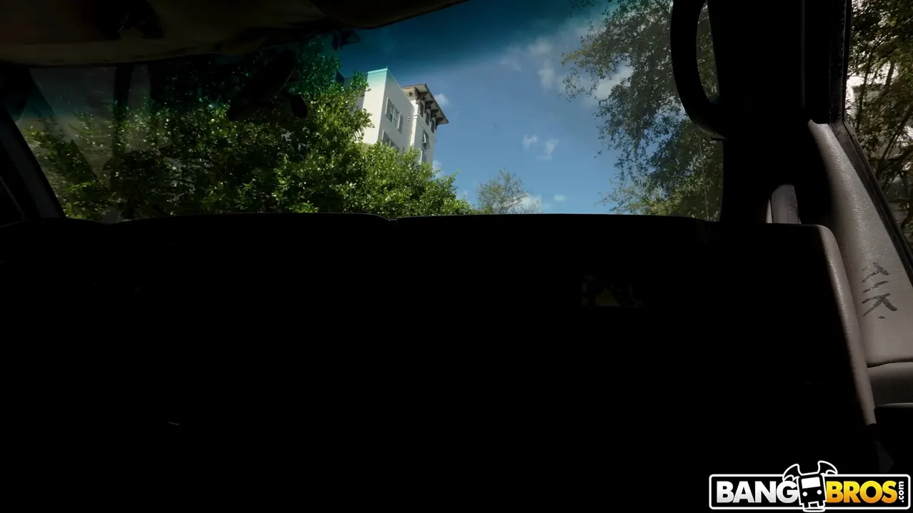 Lila Love in 'She'll Take Dick For Money' from 'Bangbros' (Photo 1) Bangbros 'She'll Take Dick For Money' starring Lila Love (Photo 1)