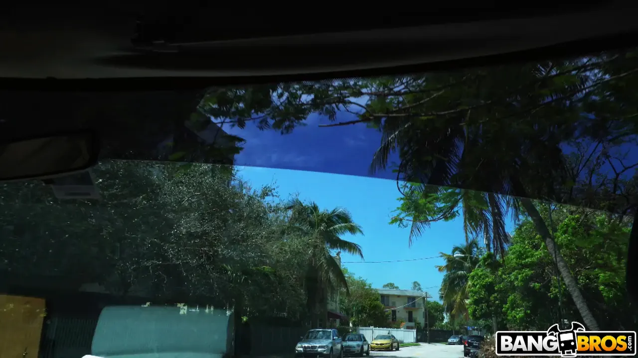 Lilli Dixon in 'Outsmarting a Hustler For Sex' from 'Bangbros' (Photo 1) Bangbros 'Outsmarting a Hustler For Sex' starring Lilli Dixon (Photo 1)