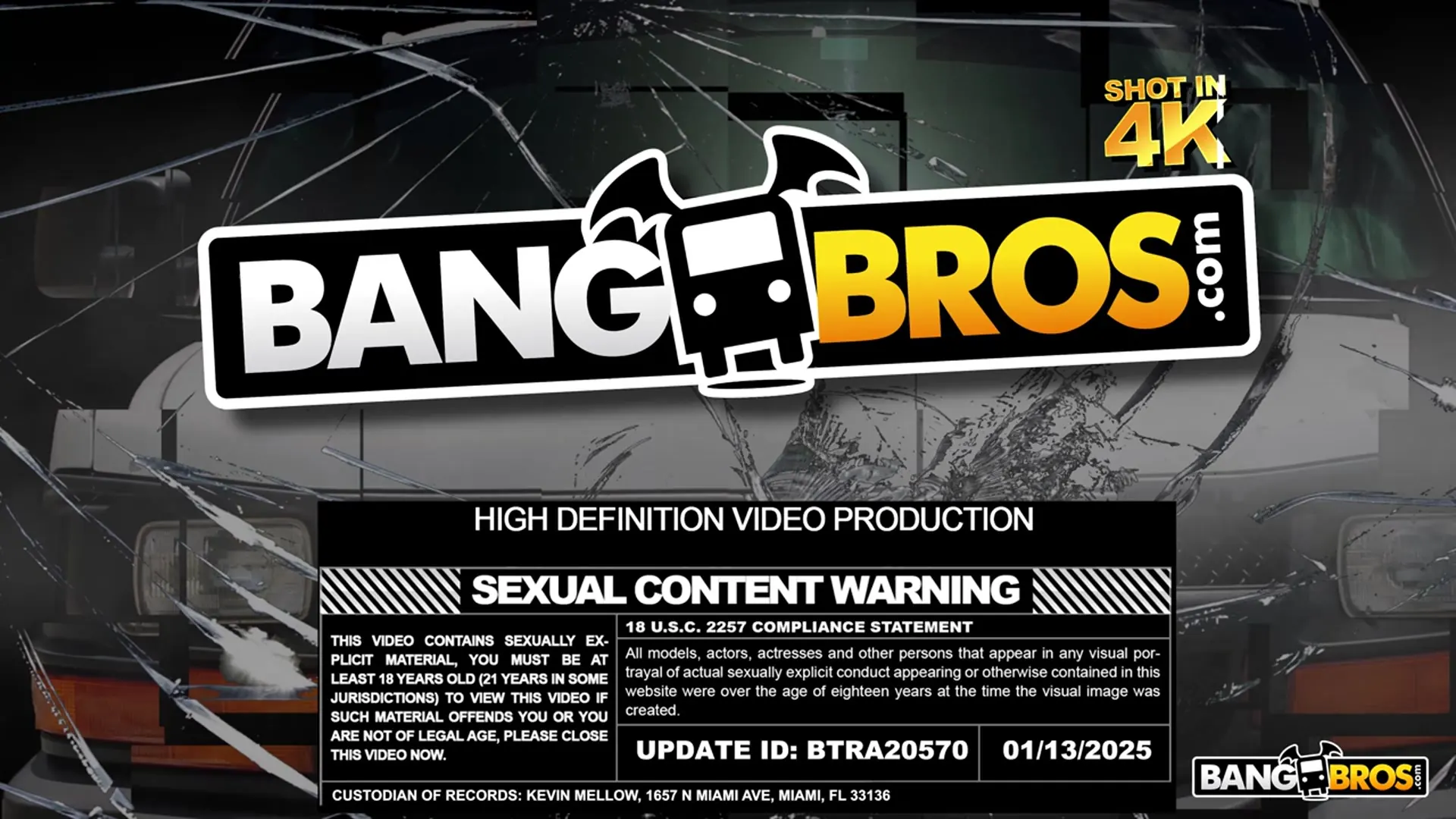 Bangbros 'Stepmom's Huge Tits' starring Lindsay Lee (Photo 1)