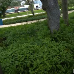 Lindsey Lakes in She's a Thrill Seeker (Photo 1200) Lindsey Lakes in 'Bangbros' She's a Thrill Seeker (Thumbnail 1200)