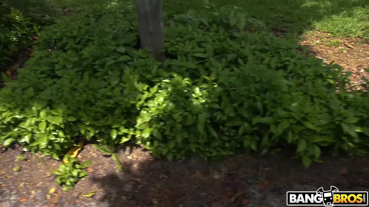 Bangbros 'She's a Thrill Seeker' starring Lindsey Lakes (Photo 375)