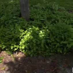 Lindsey Lakes in She's a Thrill Seeker (Photo 375) Lindsey Lakes in 'Bangbros' She's a Thrill Seeker (Thumbnail 375)