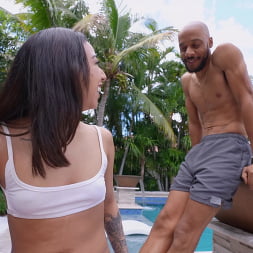 Liora Vane en 'Bangbros' La anaconda en sus pantalones (Miniatura 195)