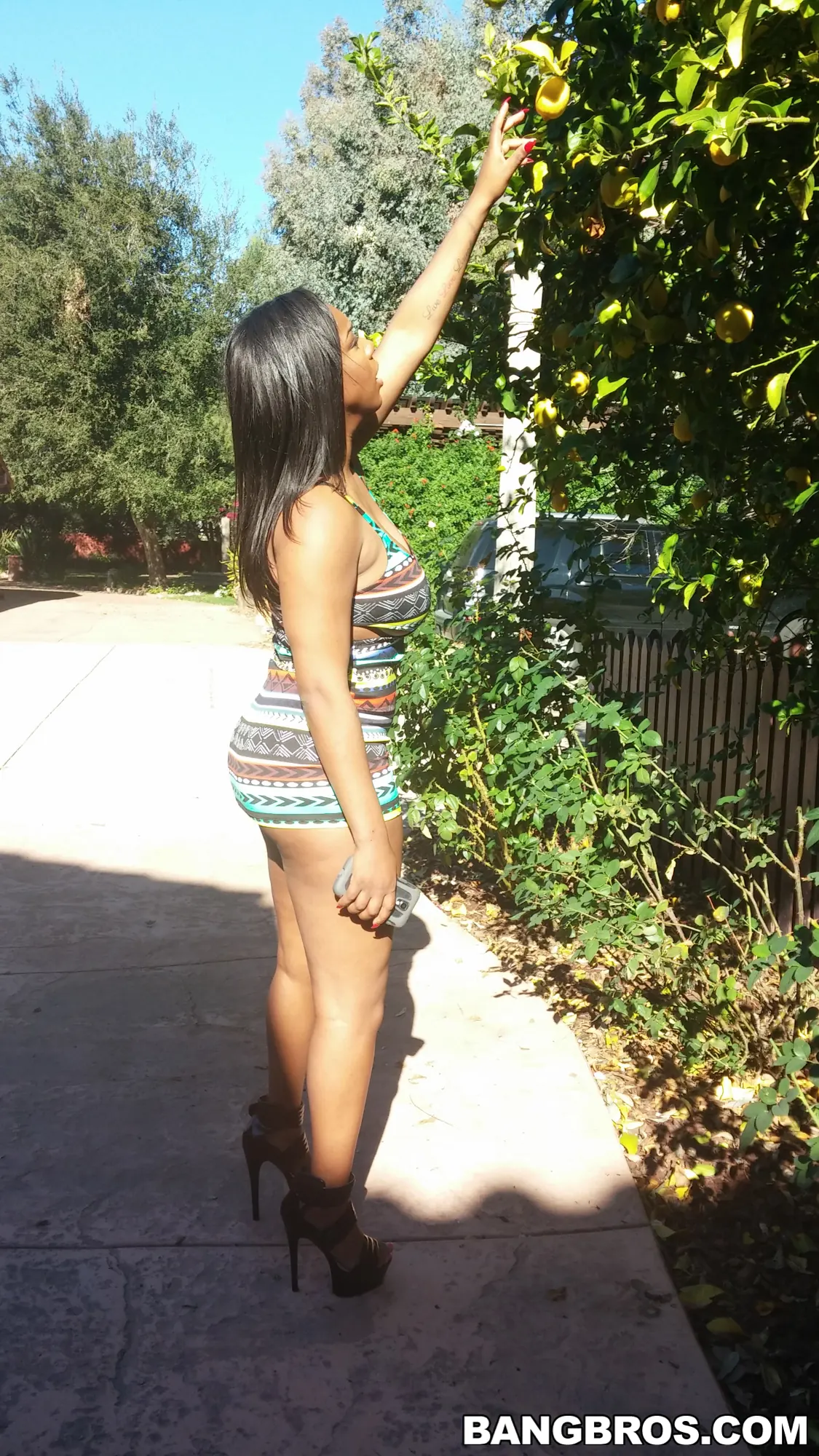 Bangbros 'Coño grueso de ébano se deja follar' protagonizando Lisa Tiffian (foto 63)