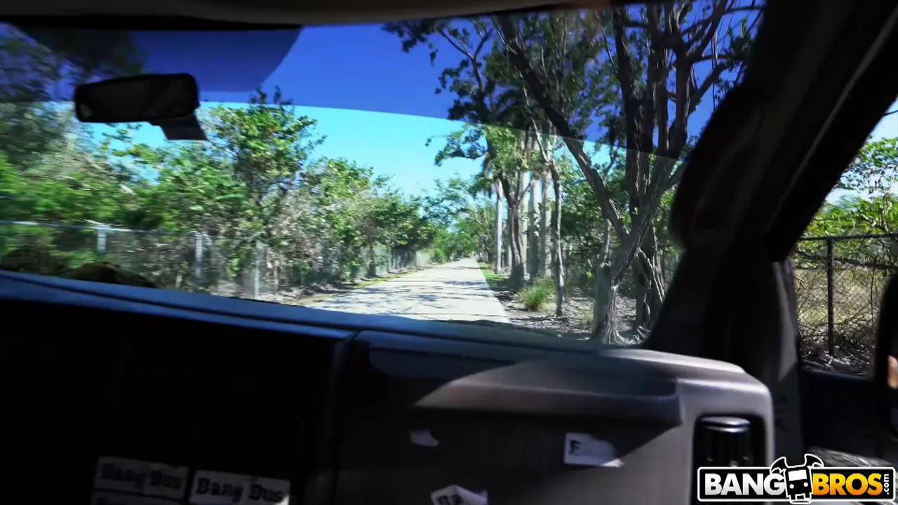 Maddie Winters in 'Xmas Special With A Sexy Elf' from 'Bangbros' (Photo 960) Bangbros 'Xmas Special With A Sexy Elf' starring Maddie Winters (Photo 960)