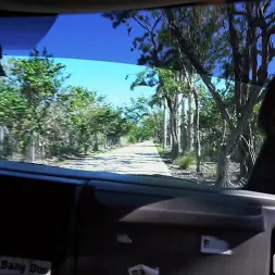 Maddie Winters in 'Bangbros' Xmas Special With A Sexy Elf (Thumbnail 960)