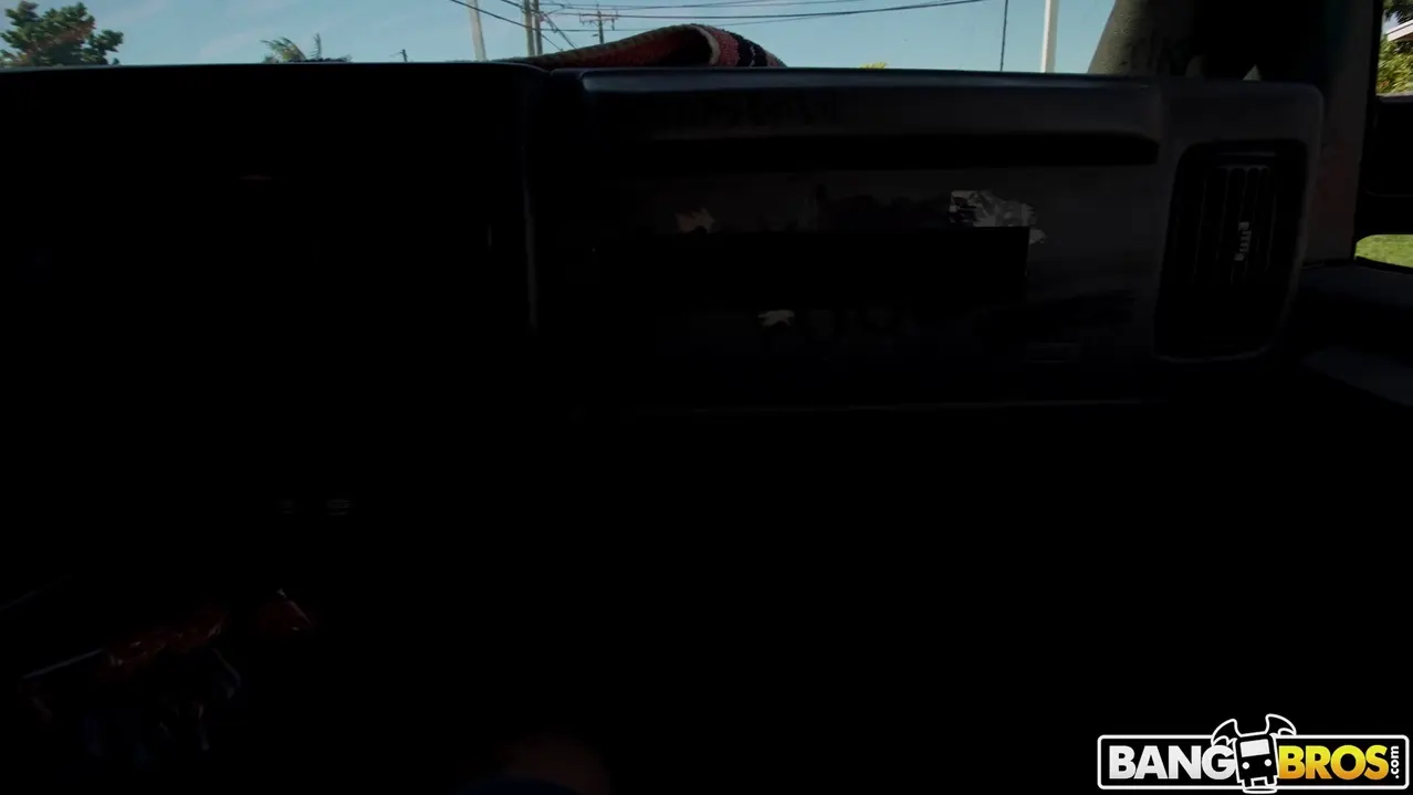 Bangbros 'Golondrina feliz' protagonizando Mads Flores (foto 75)