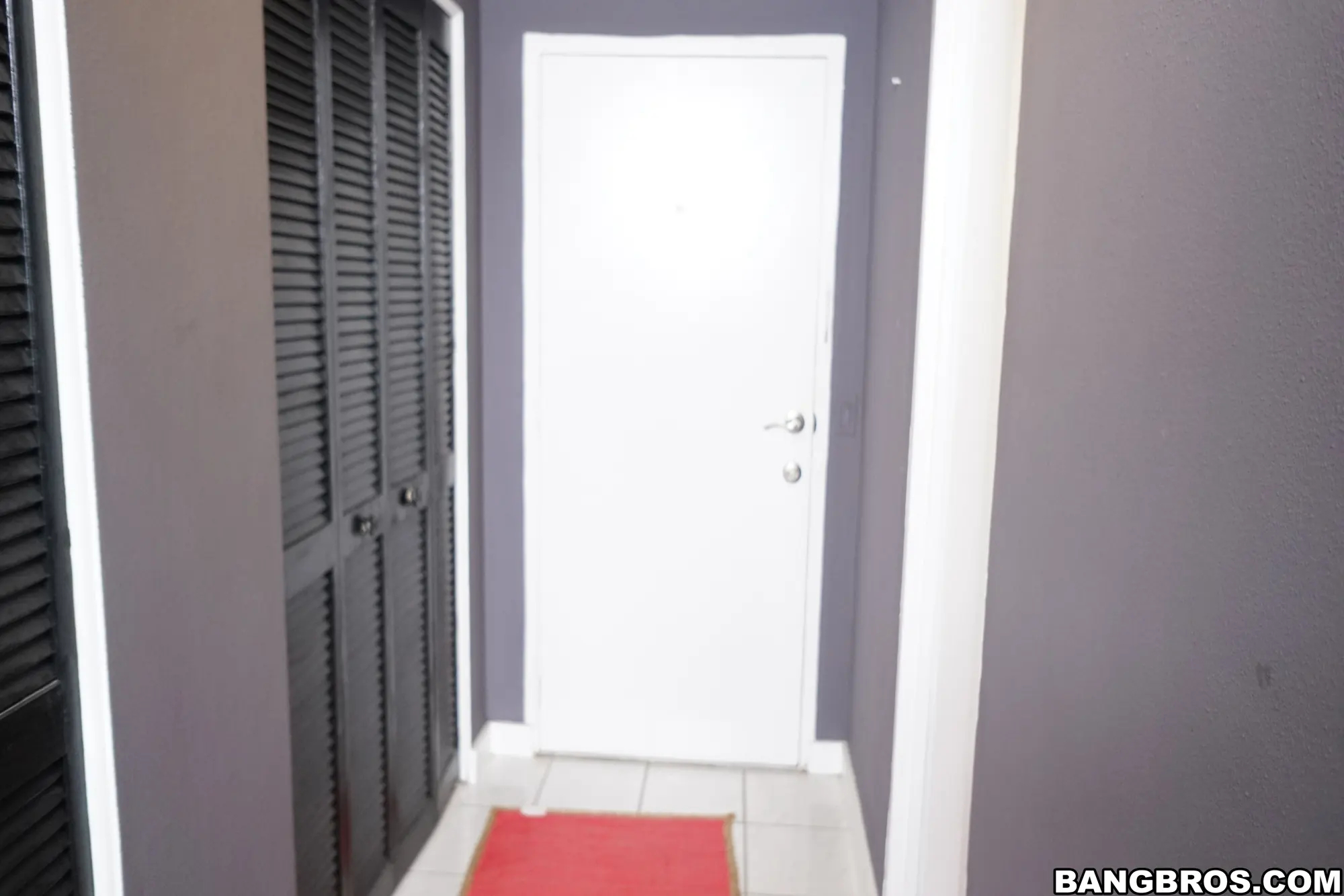 Bangbros 'cleans more than just the apartment' starring Mariah (Photo 1)