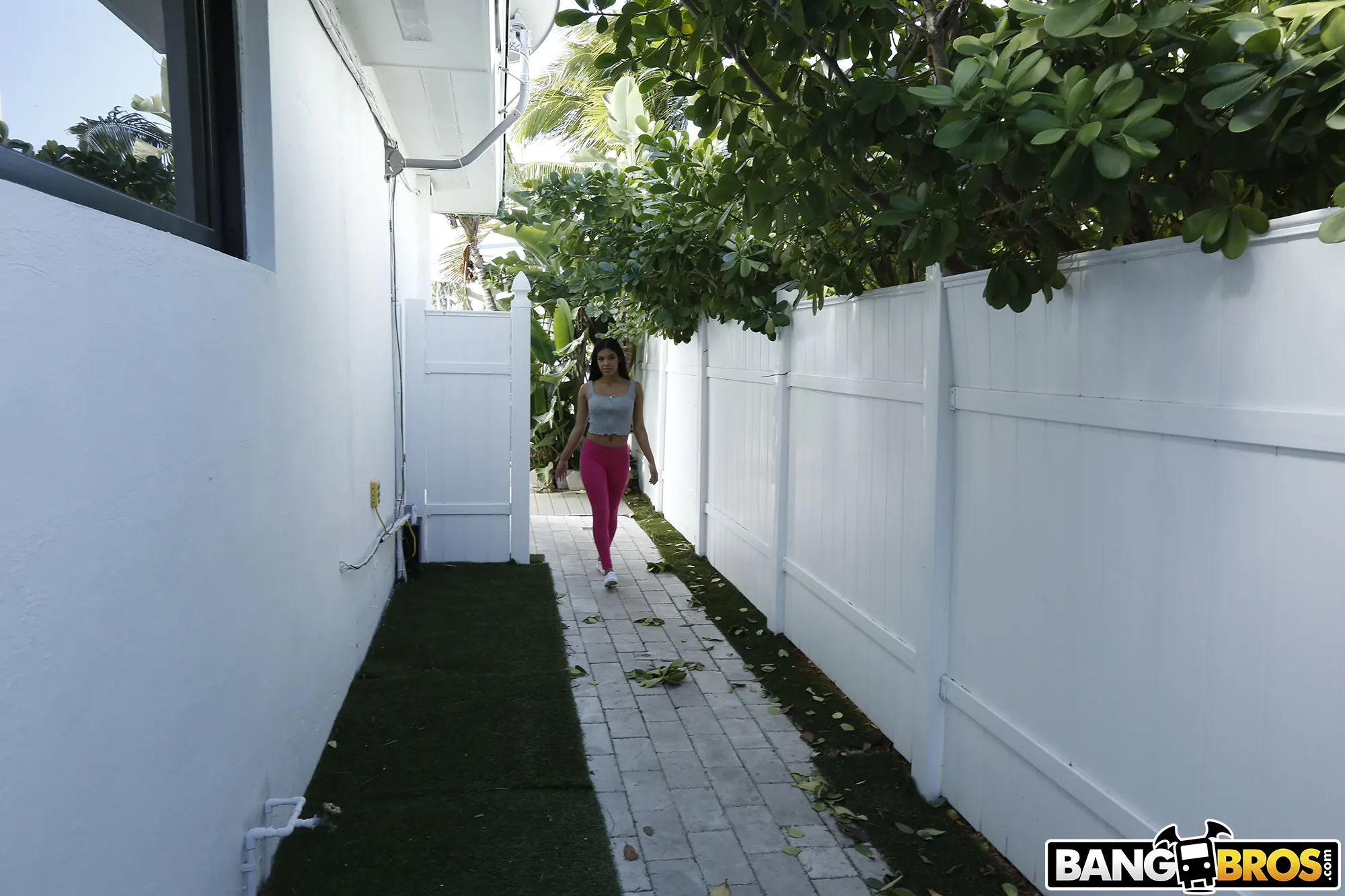 Bangbros 'Bonita en rosa follando' protagonizando Maya Farrell (foto 1)