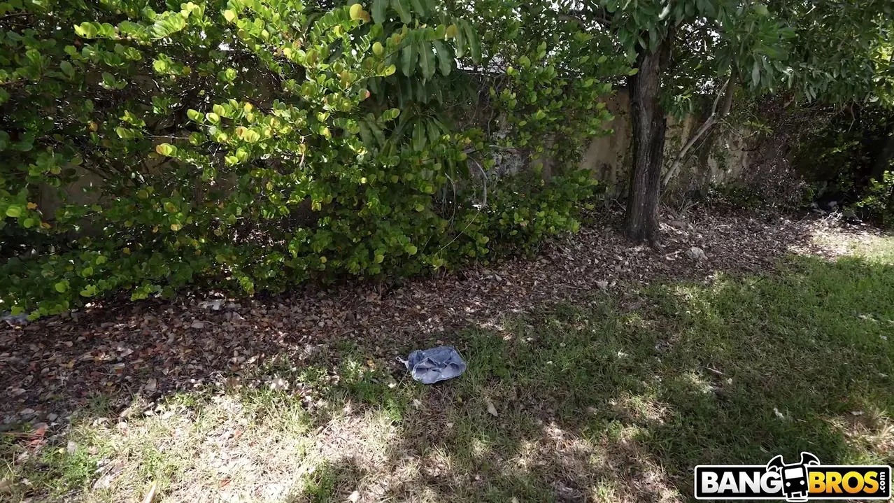 Mazy Myers en 'Joderme de todos modos' from 'Bangbros' (foto 1050) Bangbros 'Joderme de todos modos' protagonizando Mazy Myers (foto 1050)