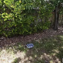 Mazy Myers en Joderme de todos modos (foto 1050) Mazy Myers en 'Bangbros' Joderme de todos modos (Miniatura 1050)