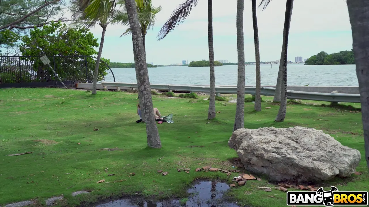 Bangbros 'Book Nerd Gets Fucked on The Bus' starring Michele James (Photo 1)