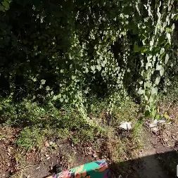 Mimi Monet en 'Bangbros' Rubia caliente se deja follar duro (Miniatura 675)